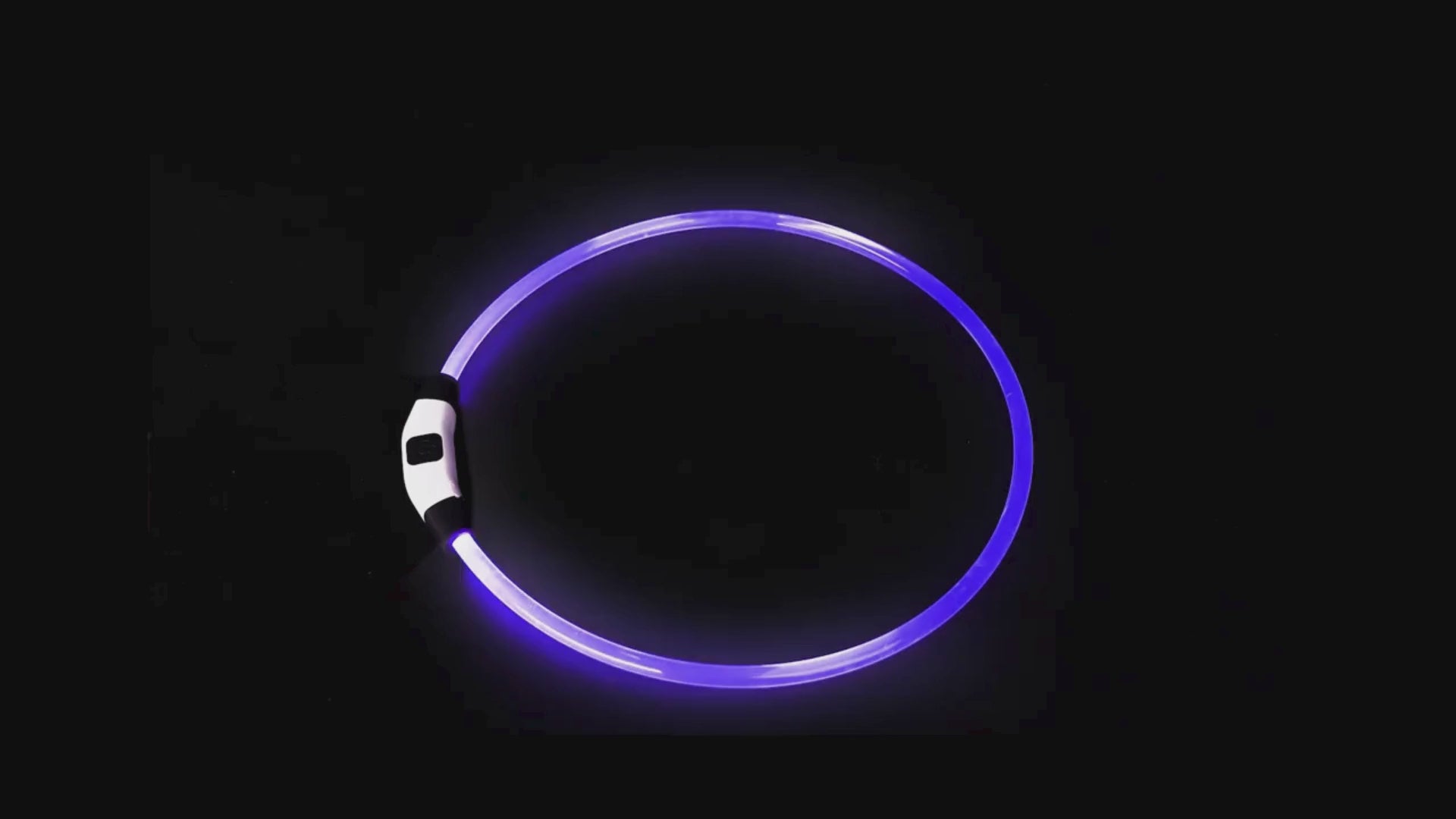 Video av LED Halsband för Hund & Katt - Djurslottet