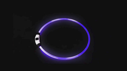 Video av LED Halsband för Hund & Katt - Djurslottet