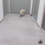 Interaktiv Kattleksak, 
Felineo Spinball, Felineo Spinball kattleksak