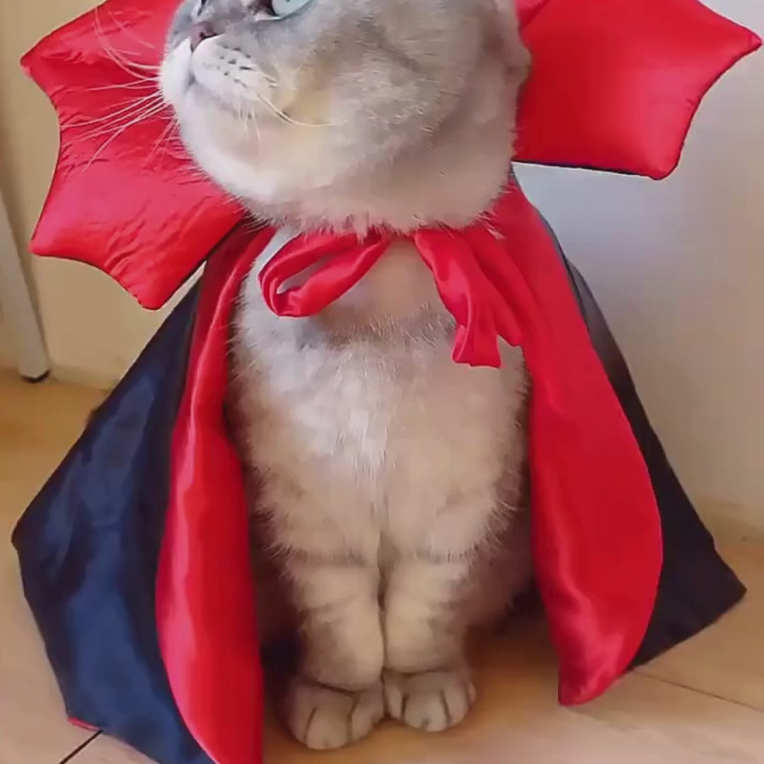 Produktsotrlek av Halloweenkostym för katt - Djurslottet