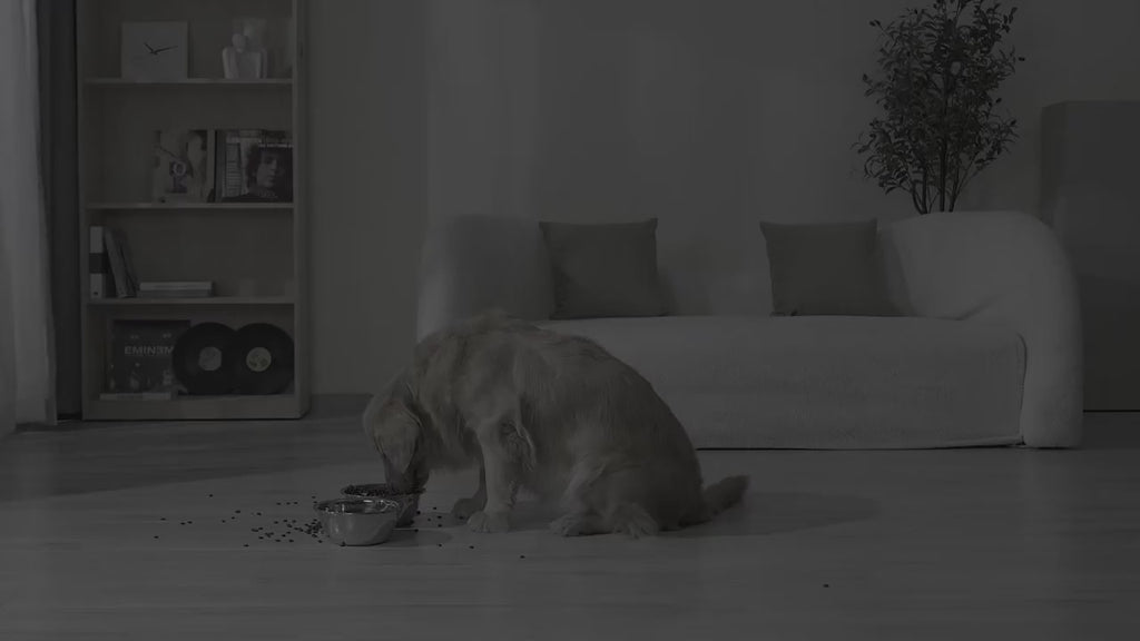 UpFeed Pro Upphöjd Slowfeeder & Anti-Spill Matskål