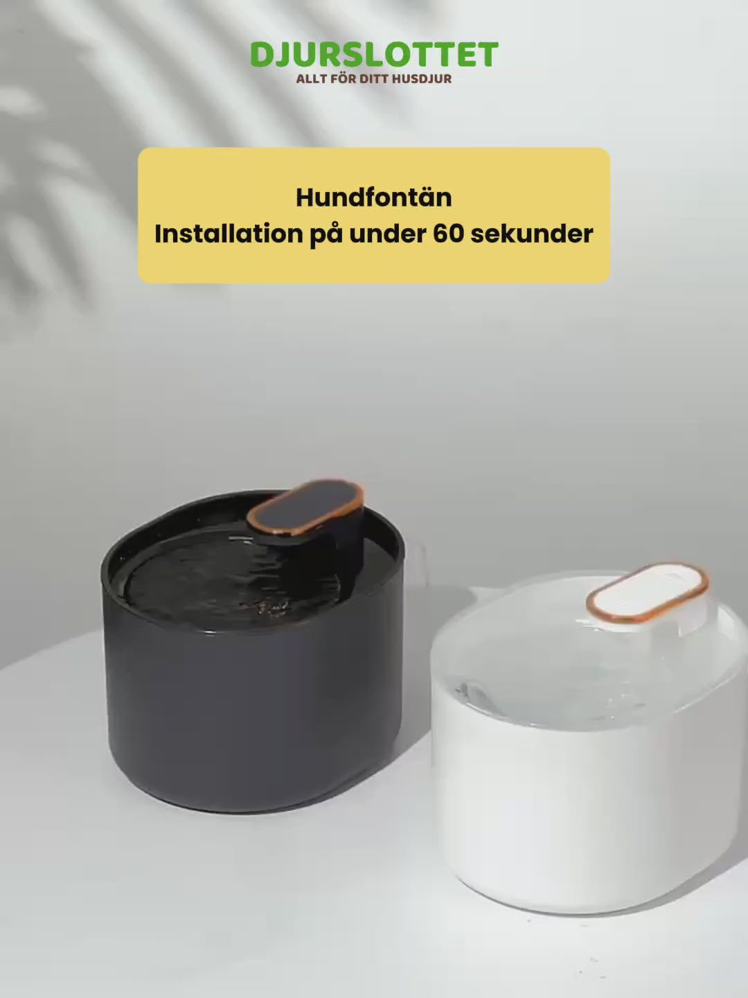 hundfontän video - Djurslottet