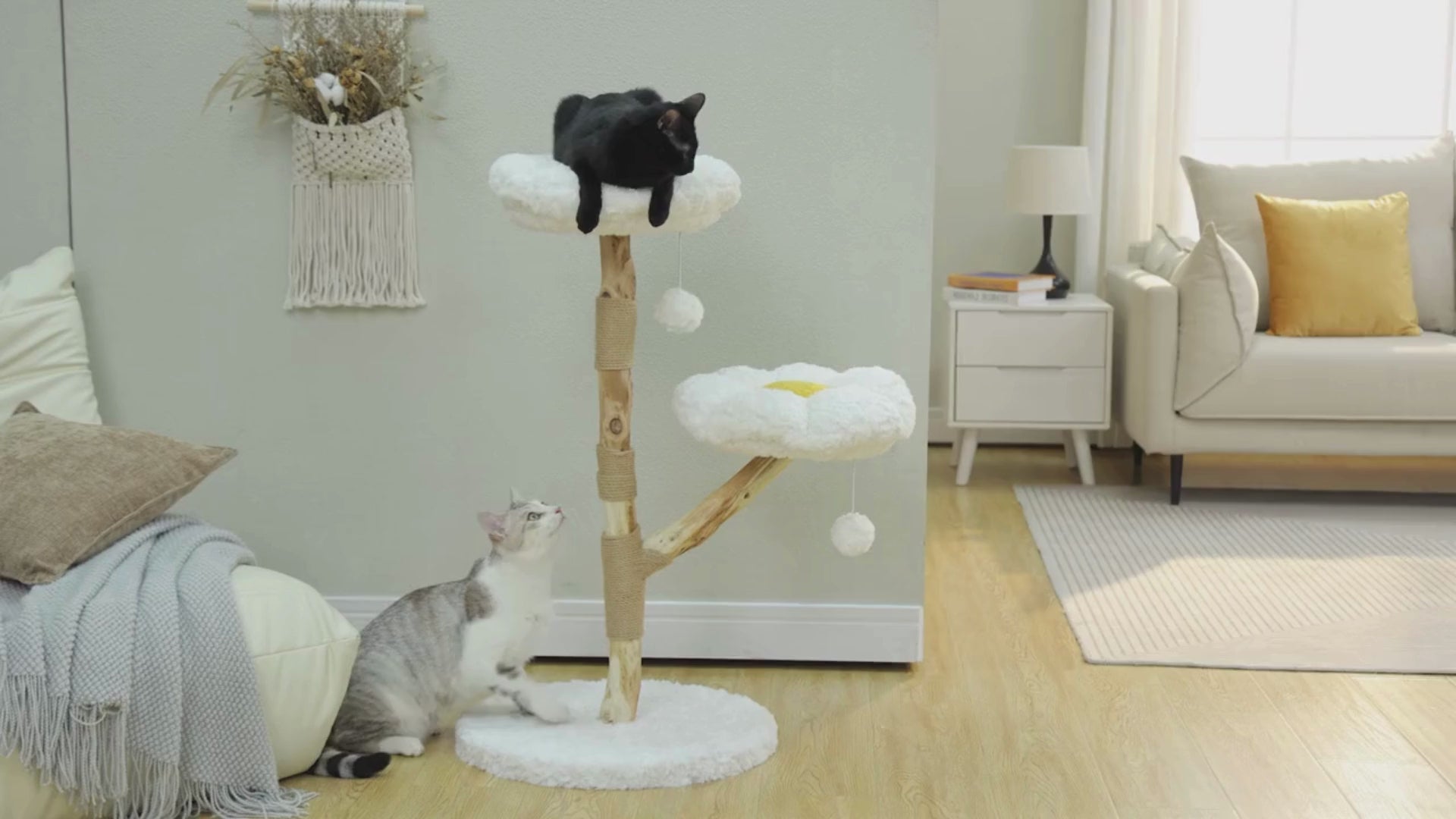 CozyCloud Klösträd i Naturträ video