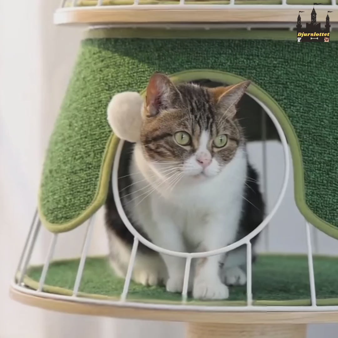 julgransformat klösträd för katter - Video