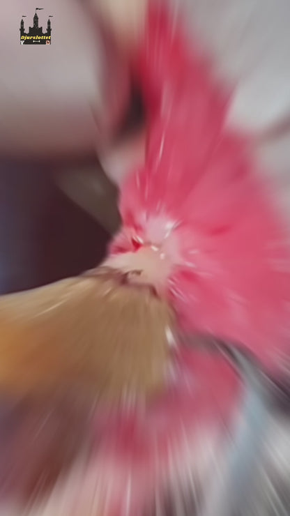 Detixy Tandskrapa Ultraljud