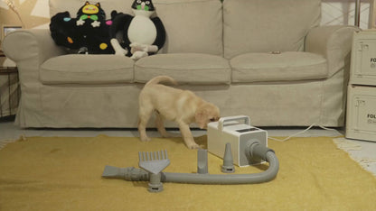 Video av Petdryer Hårfön för husdjur - Djurslottet