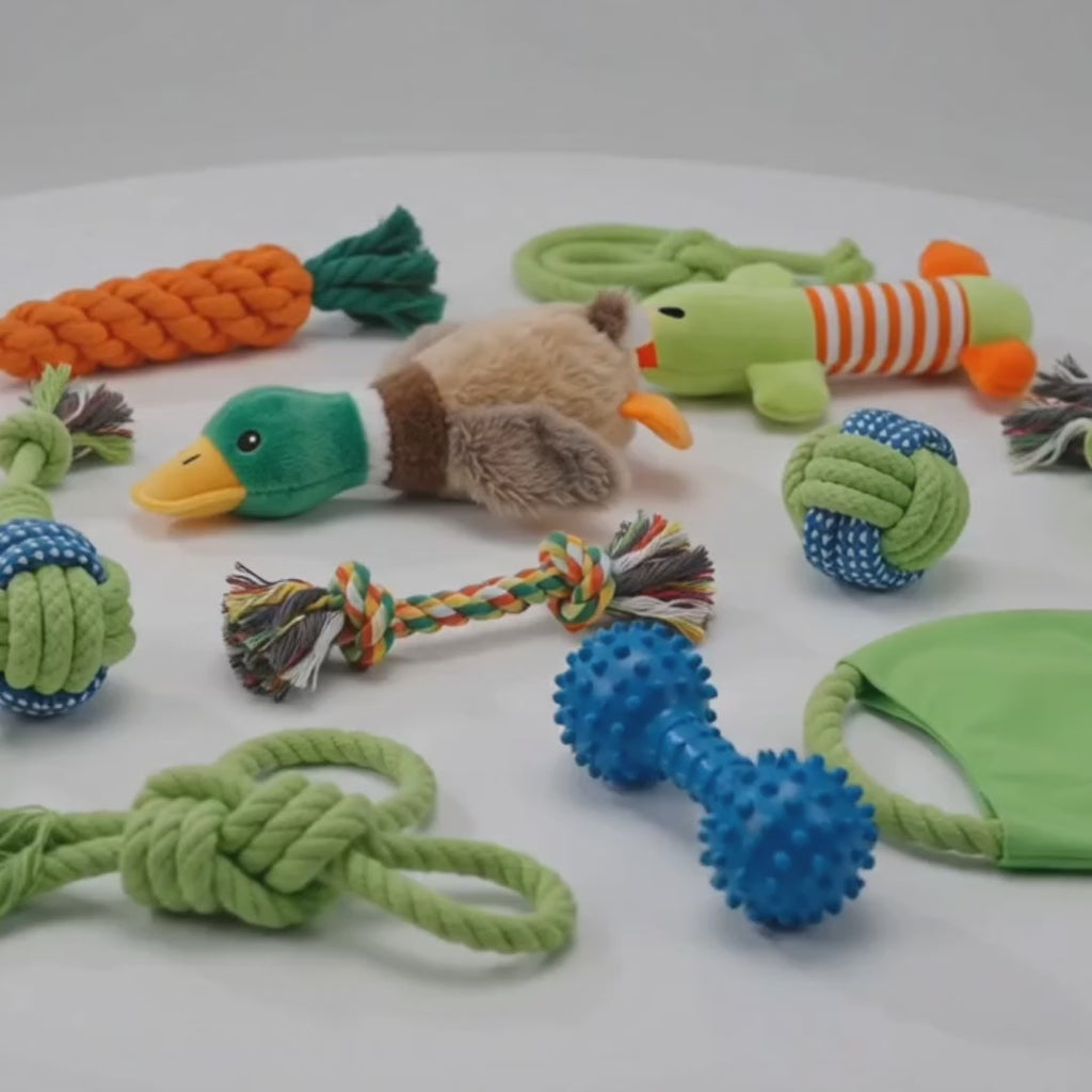 Video Kampleksaker 10 pack - Djurslottet