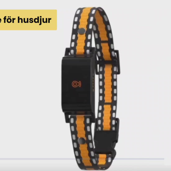Video av GPS Halsband för Husdjur - Djurslottet
