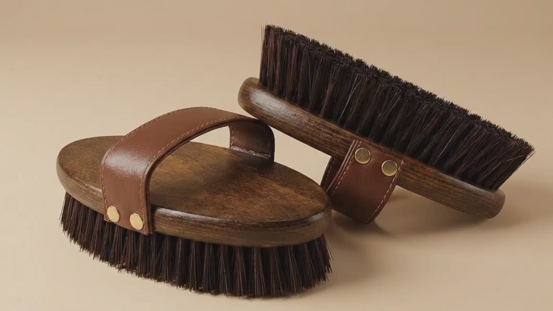 Video av Premium Ryktborste för häst - Djurslottet