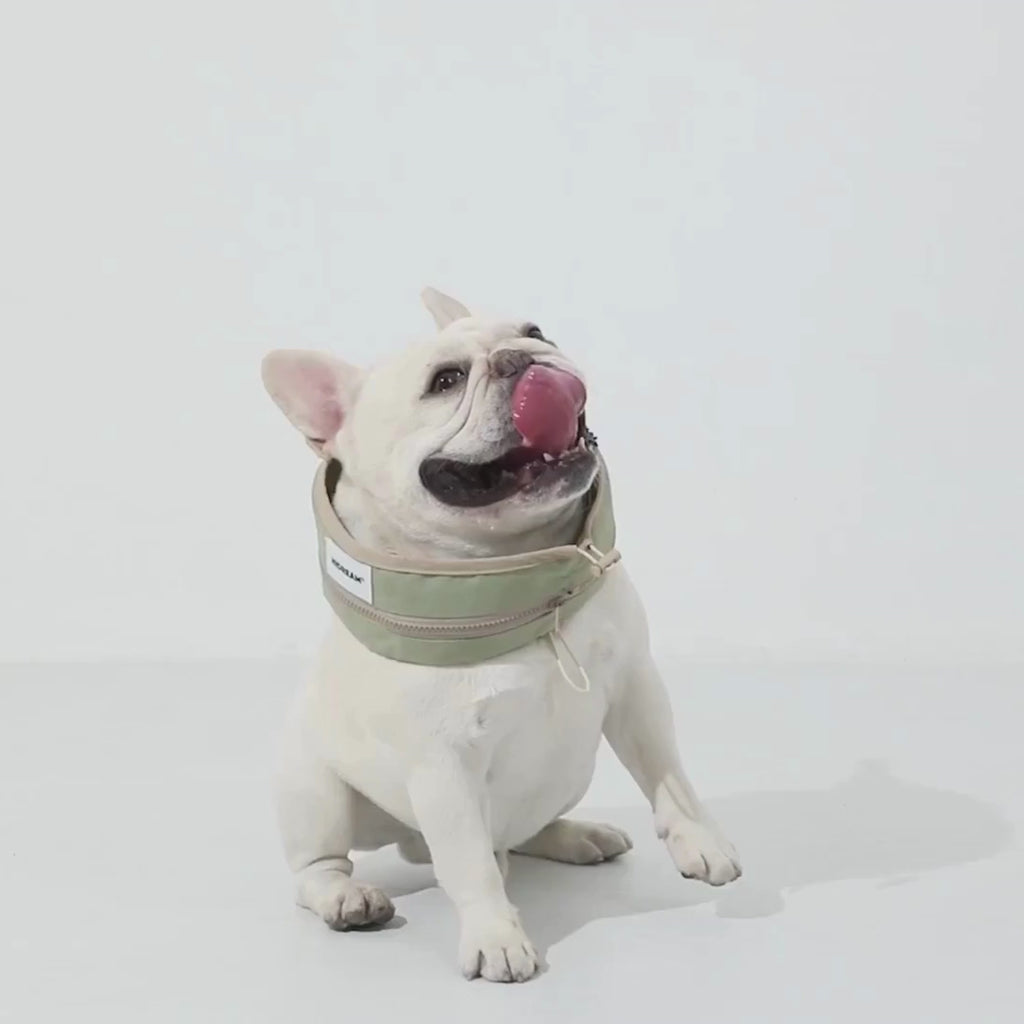 Video av HiDream Kylhalsband Hund - Djurslottet