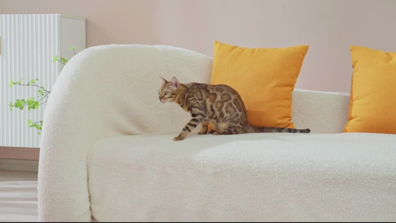 Värmedyna Katt, 
Elektrisk Värmedyna Katt, Självuppvärmande Värmedyna