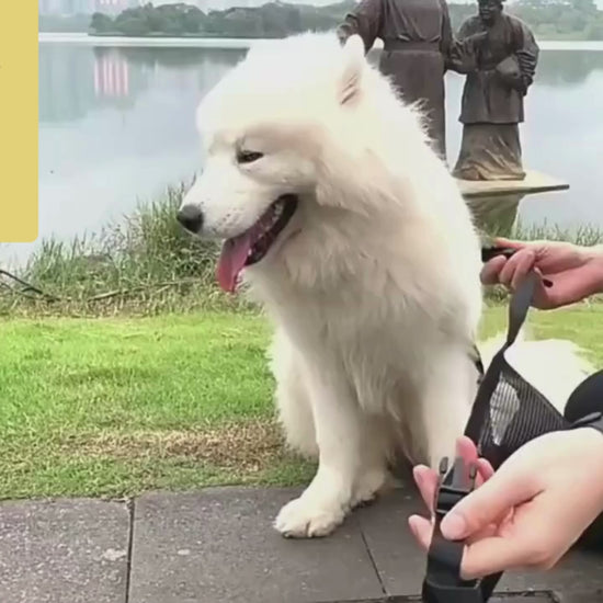 Video av Munkorg till Hund - Djurslottet