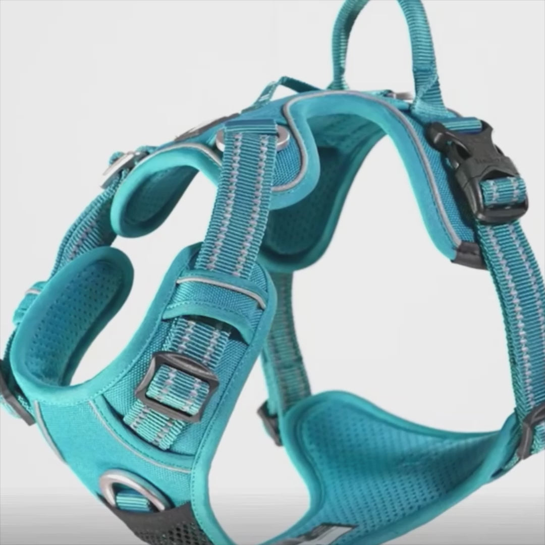 Hundsele Reflex, 
Kattsele Reflex, ReflexFit Justerbar Hundsele - djurslottet