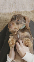 Milou Tass och Nosbalsam