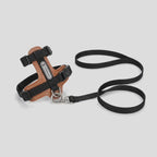 HiDream Leather Series kattsele – video – Djurslottet
