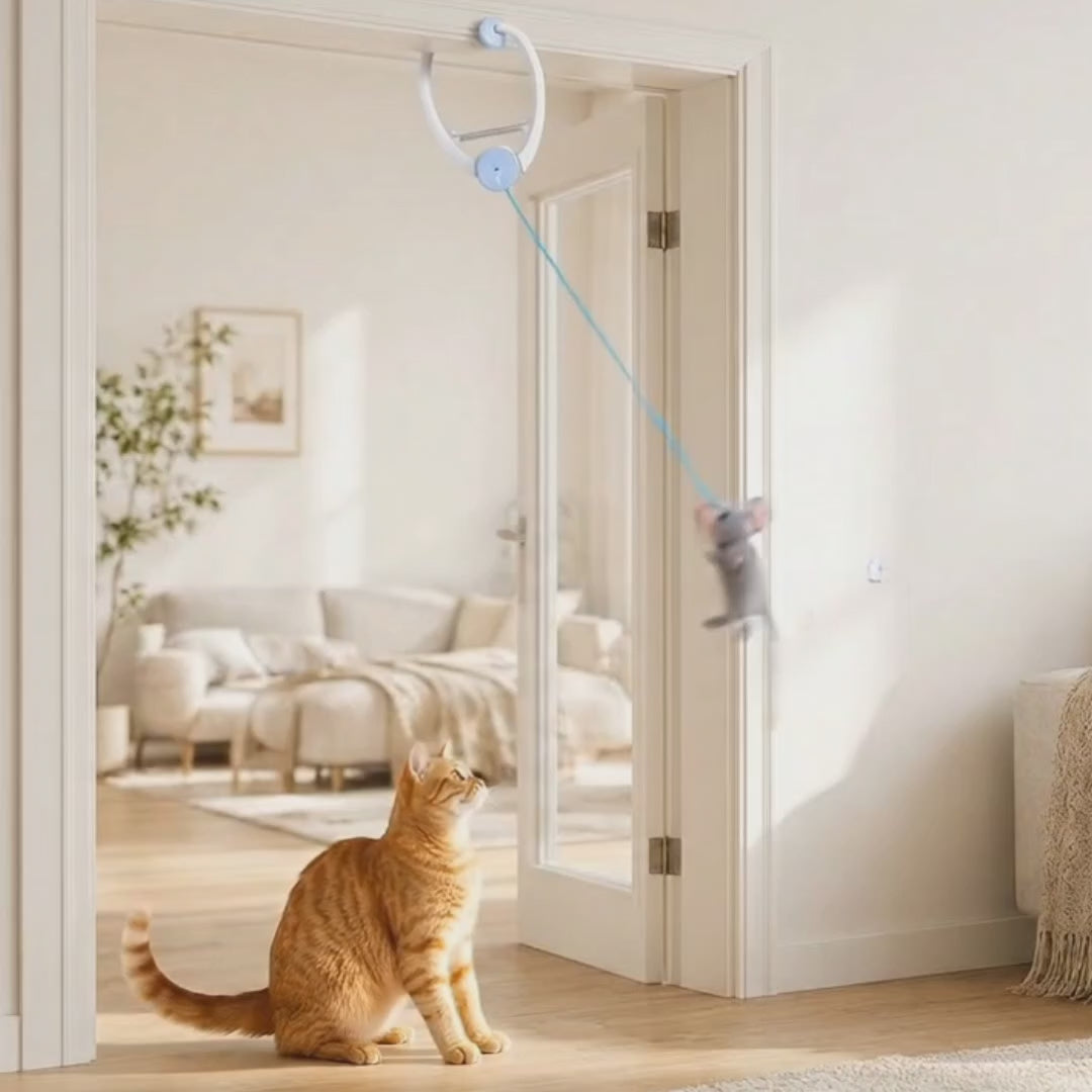 Video av Felineo MusJakt Kattleksak - Djurslottet