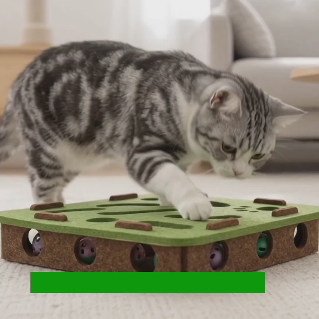 Katter leker med fyrkantigt Purrnivo kattpussel med bjällerboll – Djurslottet