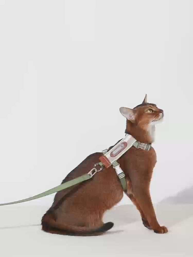 HiDream Stripe Series kattsele