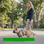 Video av Reflexfit Blommönstrad Hundsele - Djurslottet