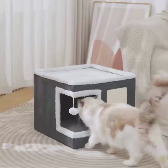 Video av Hopfällbara Kattbädd - Djurslottet