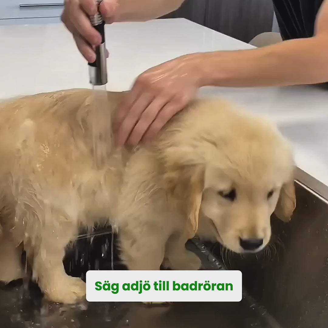 Video av Petdryer Automatisk Hårfön för husdjur - Djurslottet