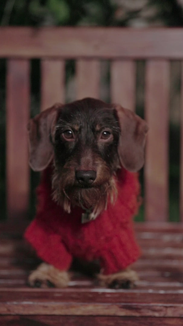 Milou Tass och Nosbalsam