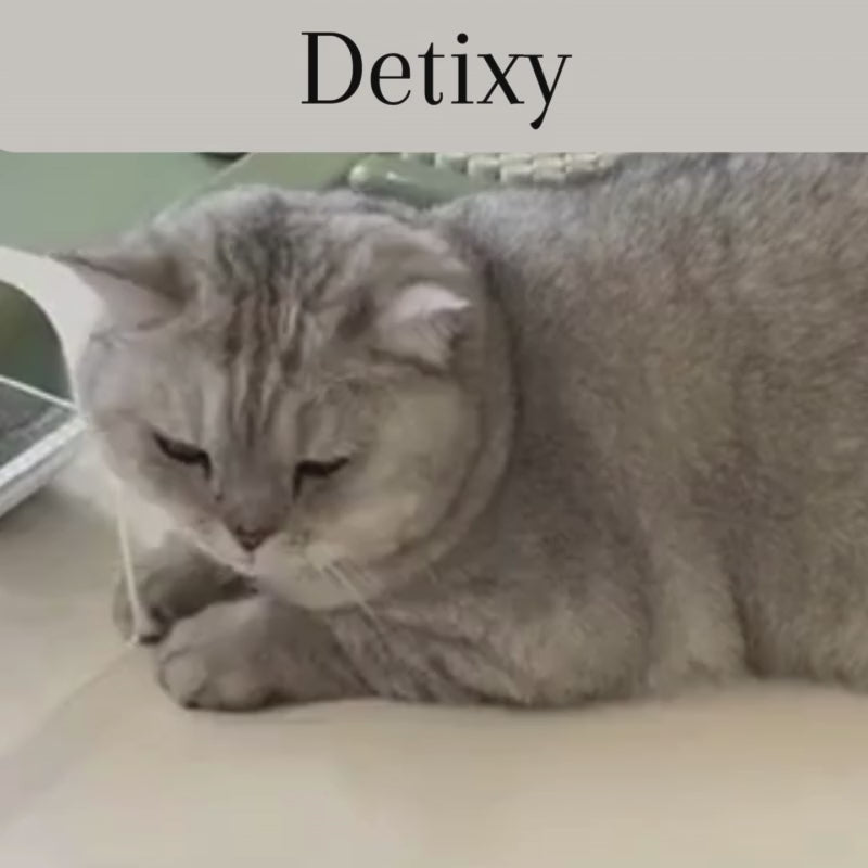 Video av Detixy ångborste - Djurslottet