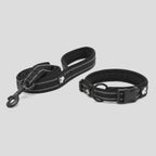 Reflexpaket för Hund med Koppel och Halsband visas i närbild och under promenad – Djurslottet