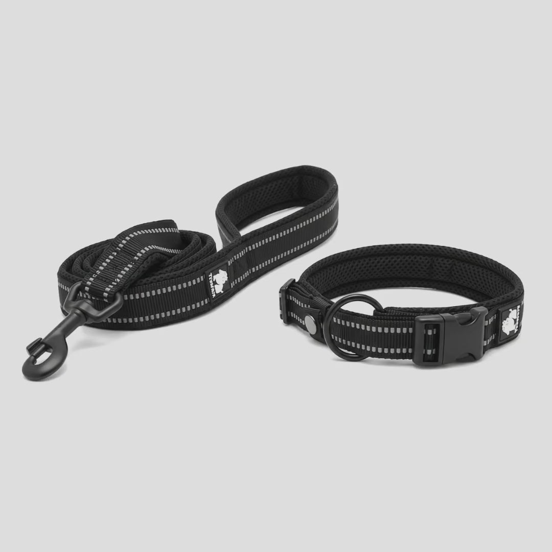 Reflexpaket för Hund med Koppel och Halsband visas i närbild och under promenad – Djurslottet