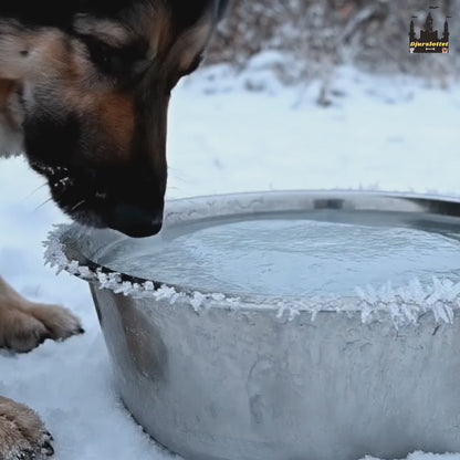 Eluppvärmd Vattenskål video - Djurslottet