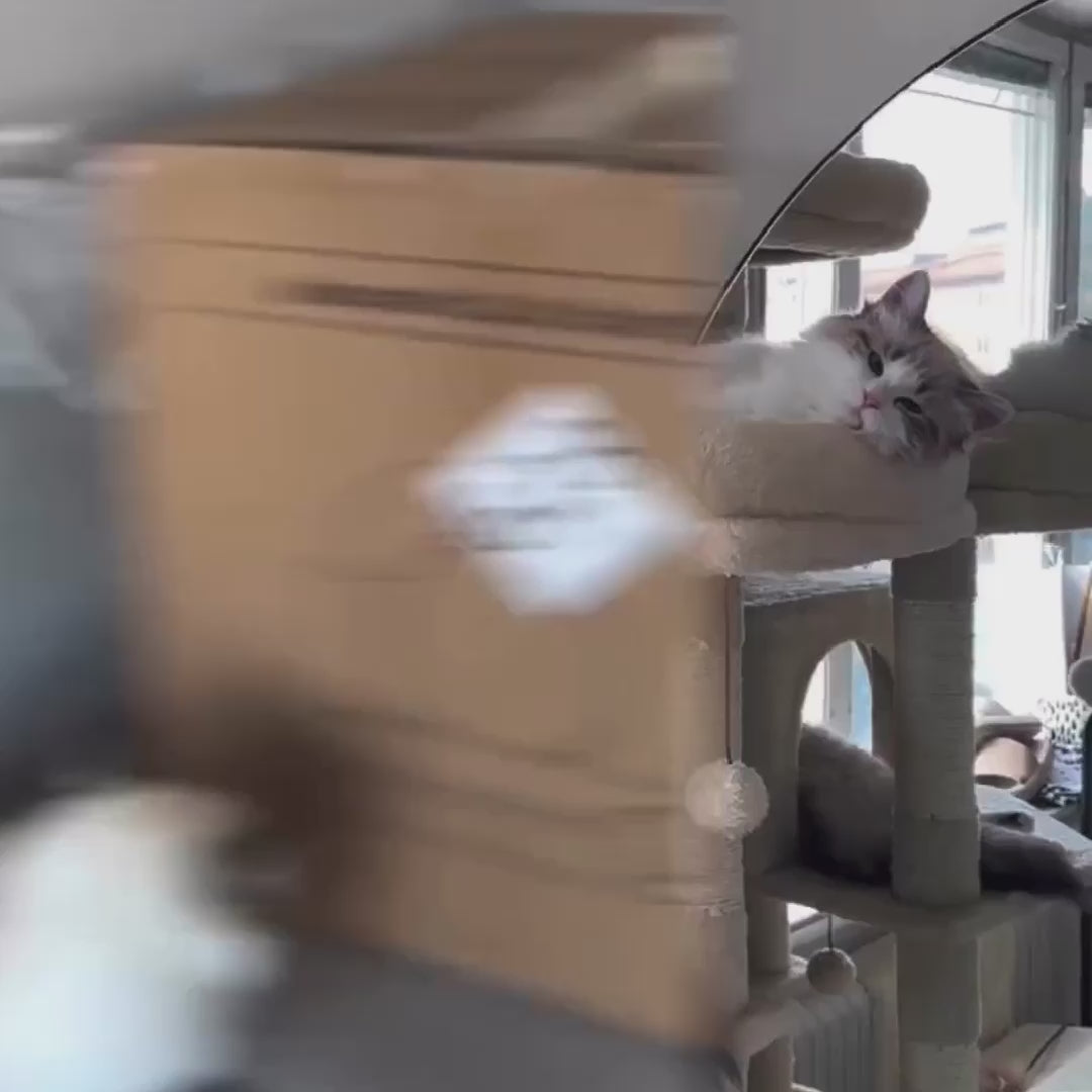 Video av Litterluxe Pro Självrengörande Kattlåda - Djurslottet