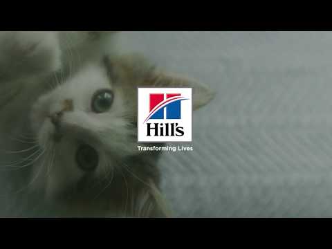 Hill's Science Plan Cat Adult Sterilised Chicken - video