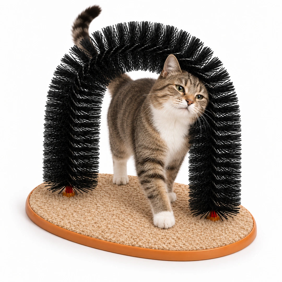 Katt använder Purrnivo Självborste med Klösyta på vit bakgrund