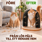 Från lös päls till ett renare hem med Purrnivo Självborste
