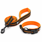 Reflexpaket – koppel och halsband, orange – Djurslottet