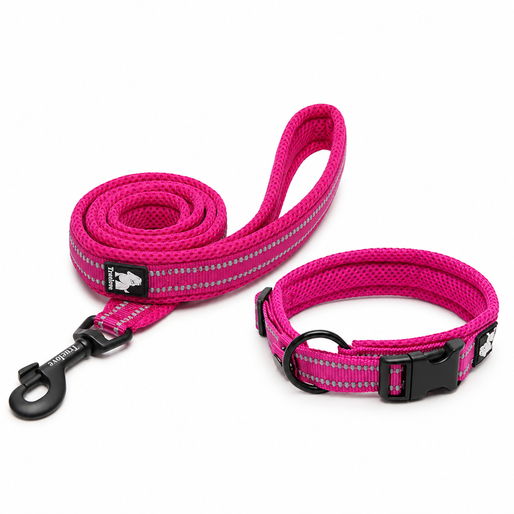 Reflexpaket – koppel och halsband, rosa – Djurslottet