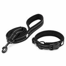 Reflexpaket för Hund med Koppel och Halsband