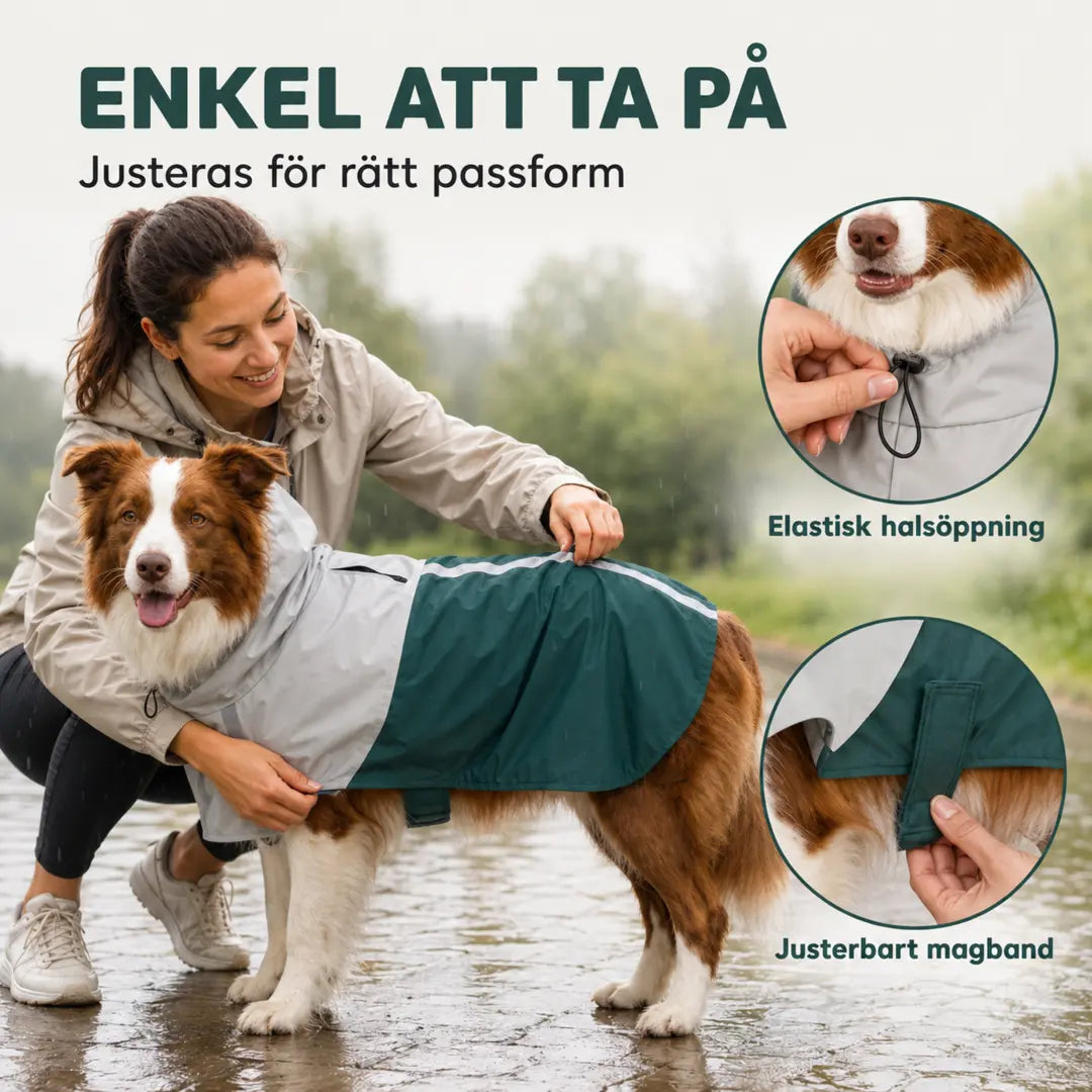 PawHut Hundregnjacka med elastisk halsöppning och justerbart magband - Djurslottet