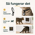 Så fungerar chiphalsbandet med kattluckan – Djurslottet