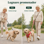 Före och efter med blommönstrad hundsele - Djurslottet