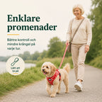 Enklare promenader med blommönstrad hundsele - Djurslottet