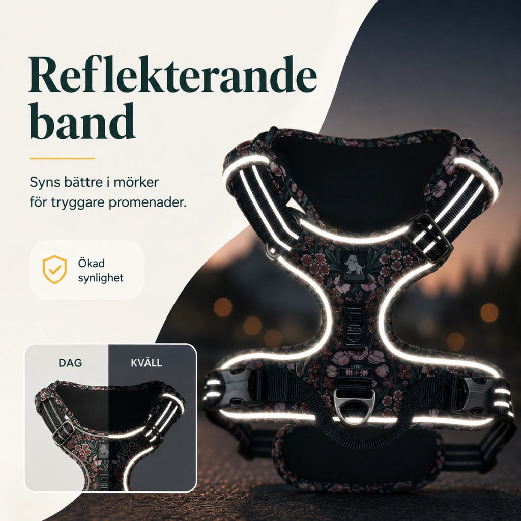 Reflekterande detaljer på hundselen i mörker - Djurslottet