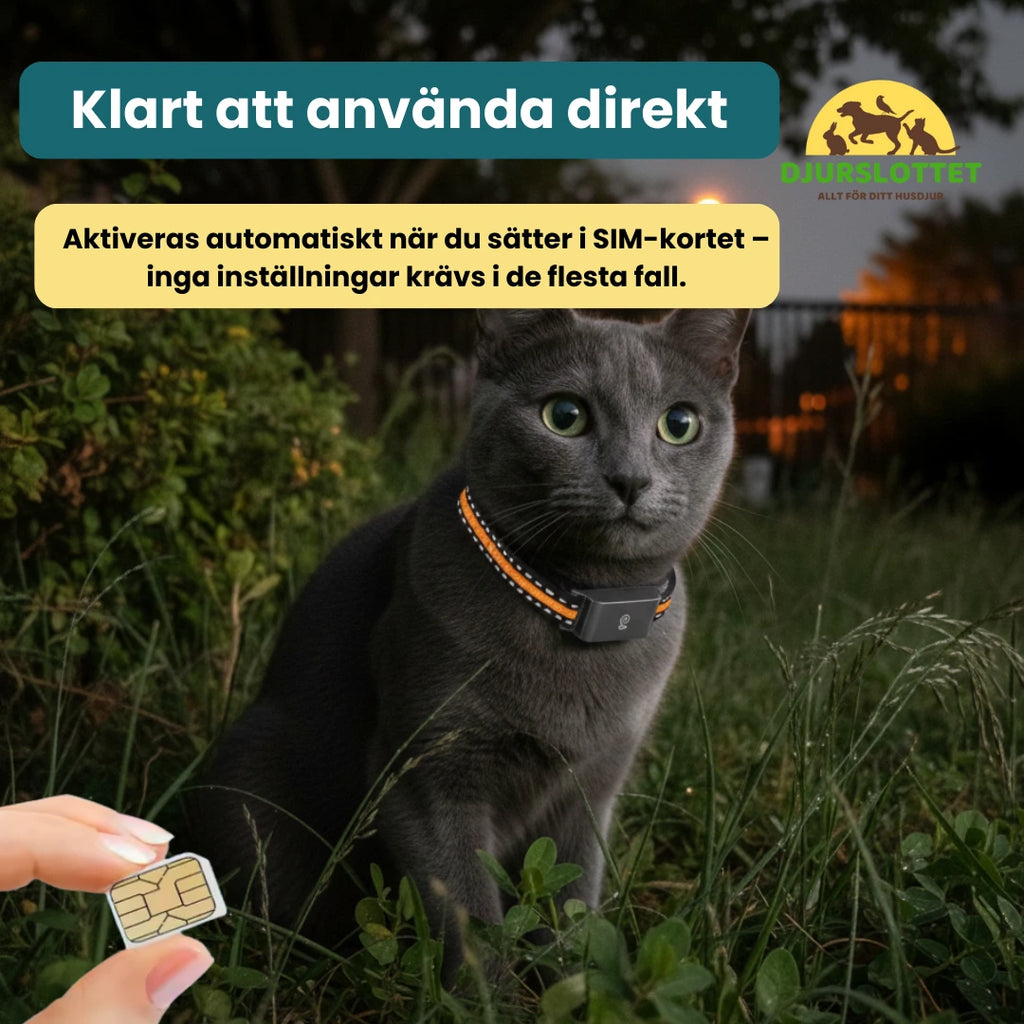 SIM-kort till GPS-halsband som är klart att använda direkt Djurslottet