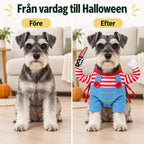 Halloweenkostym för hund & katt - Före och efter - Djurslottet