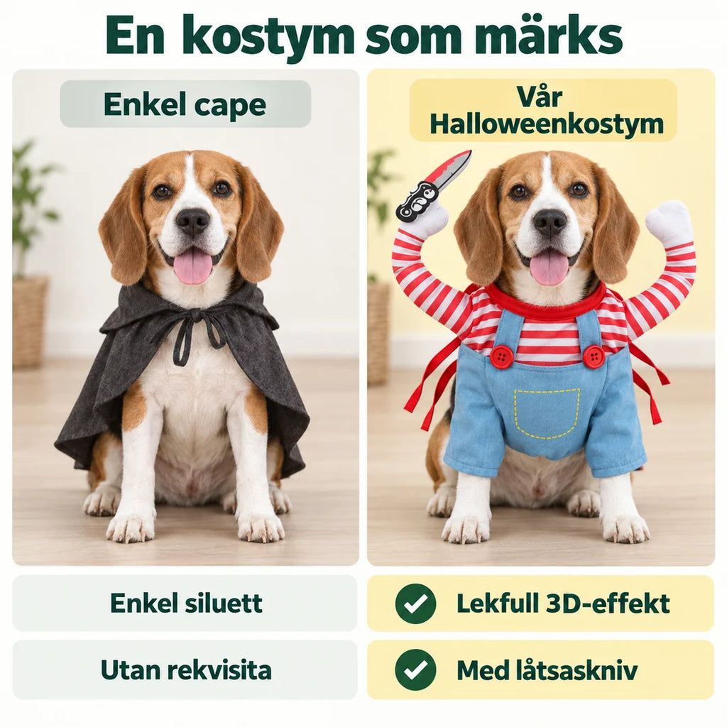 Halloweenkostym för hund & katt - Jämförelse med enkel cape - Djurslottet