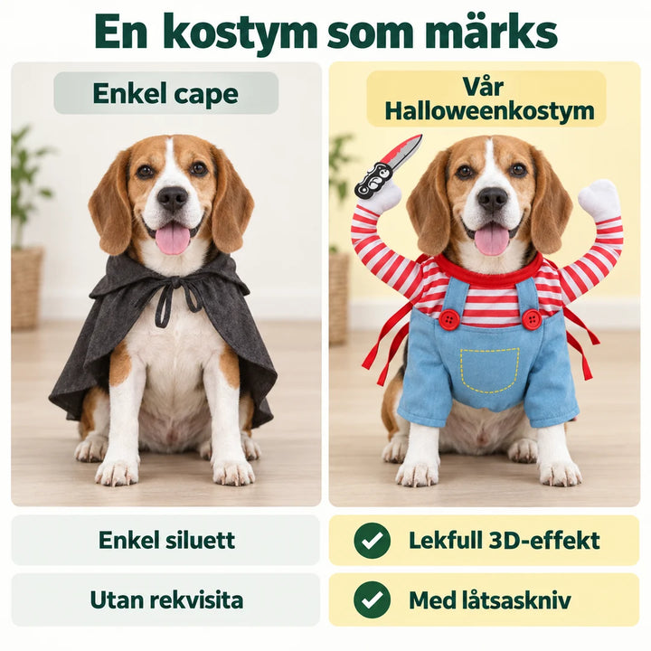 Halloweenkostym för hund & katt - Jämförelse med enkel cape - Djurslottet