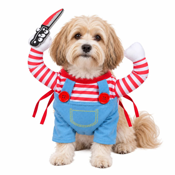 Halloweenkostym för hund & katt - Liten långhårig hund i kostym - Djurslottet