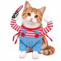 Halloweenkostym för hund & katt - Orangevit katt i kostym - Djurslottet