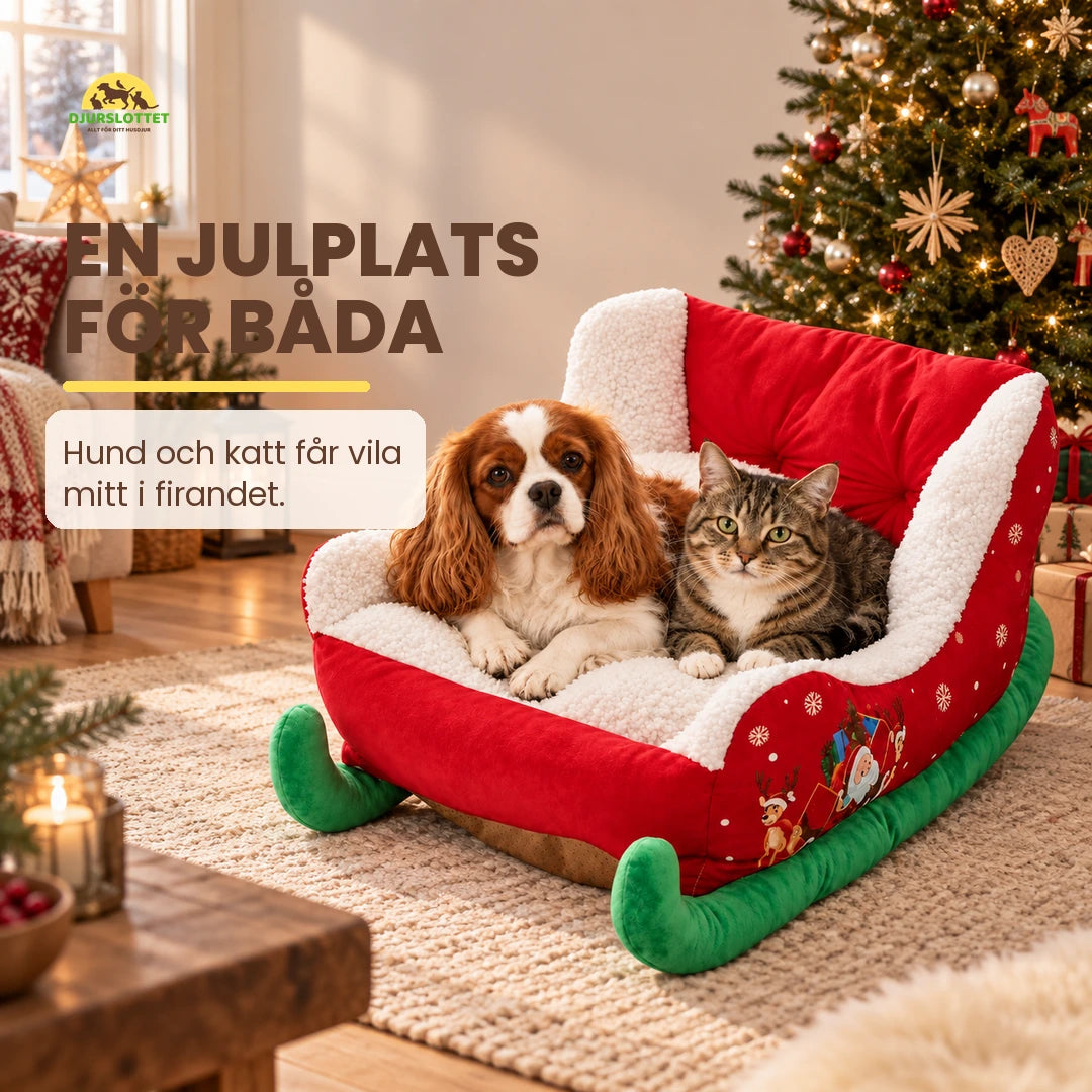 Julig Hundbädd i Slädform med hund och katt vid julgranen – Djurslottet