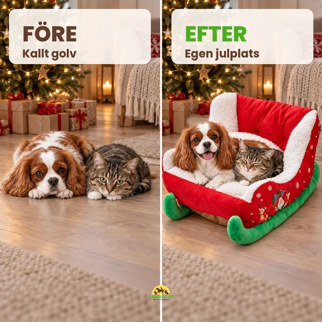 Julig Hundbädd i Slädform före och efter kallt golv och egen julplats – Djurslottet